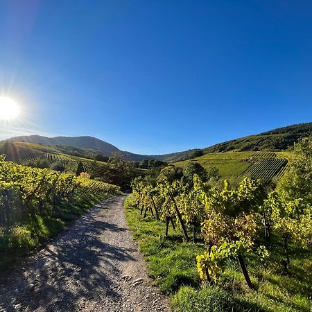 Chambre Du Vigneron - Domaine Leon Bleesz Reichsfeld Zewnętrze zdjęcie