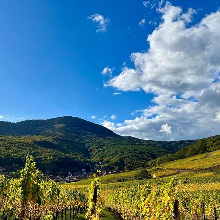 Chambre Du Vigneron - Domaine Leon Bleesz Reichsfeld Zewnętrze zdjęcie
